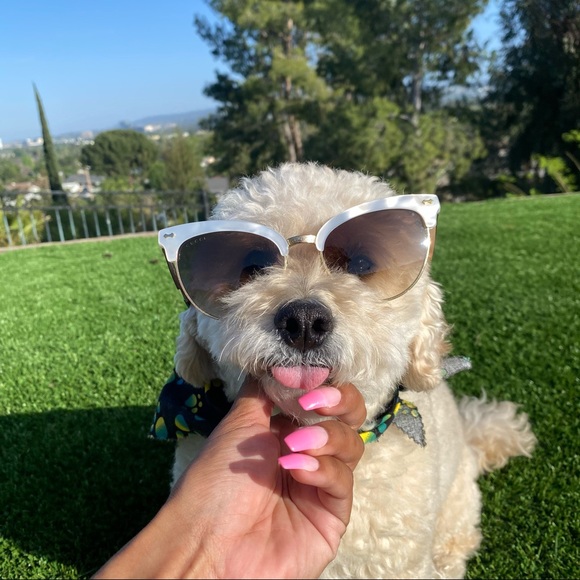 Gucci Accessories - Gucci Cat Eye “Pearl” Sunglasses